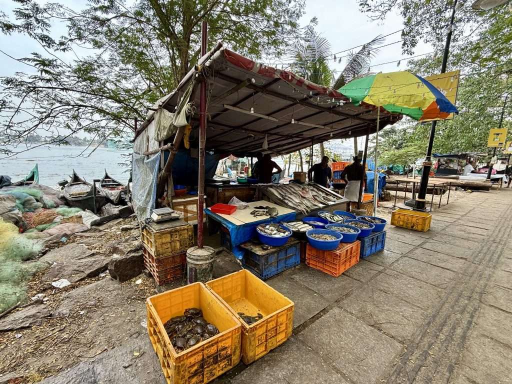 Fish Stall Kochi Harbour Kerala