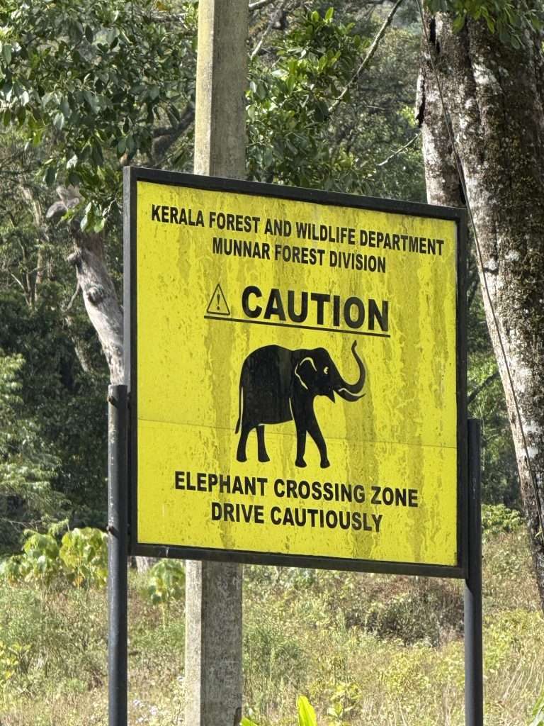 Elephant Crossing Notice - Kerala