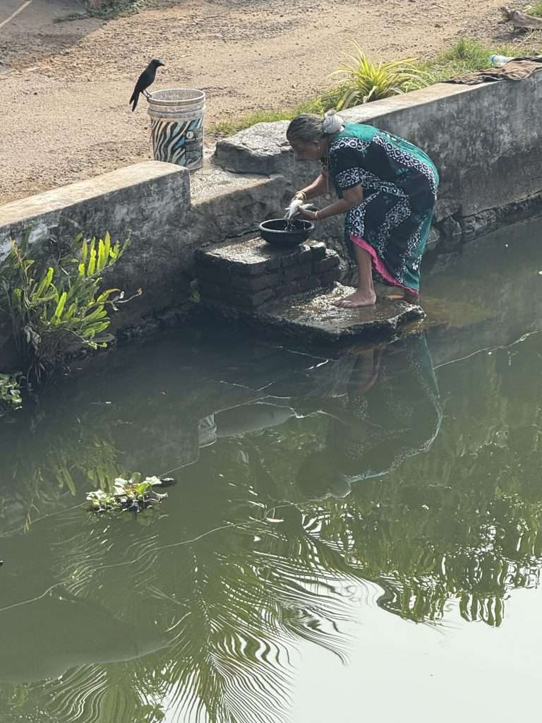 Gutting Fish for Lunch on Kerala Backwaters