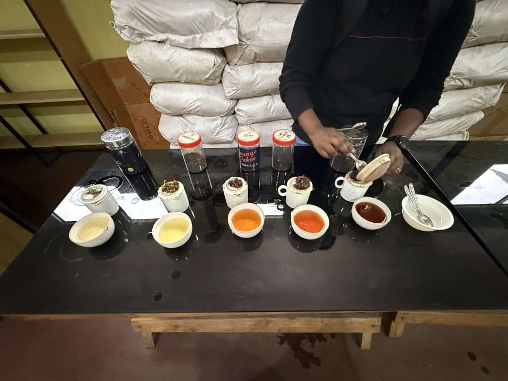 Tea Tasting Experience - Munnar - Kerala