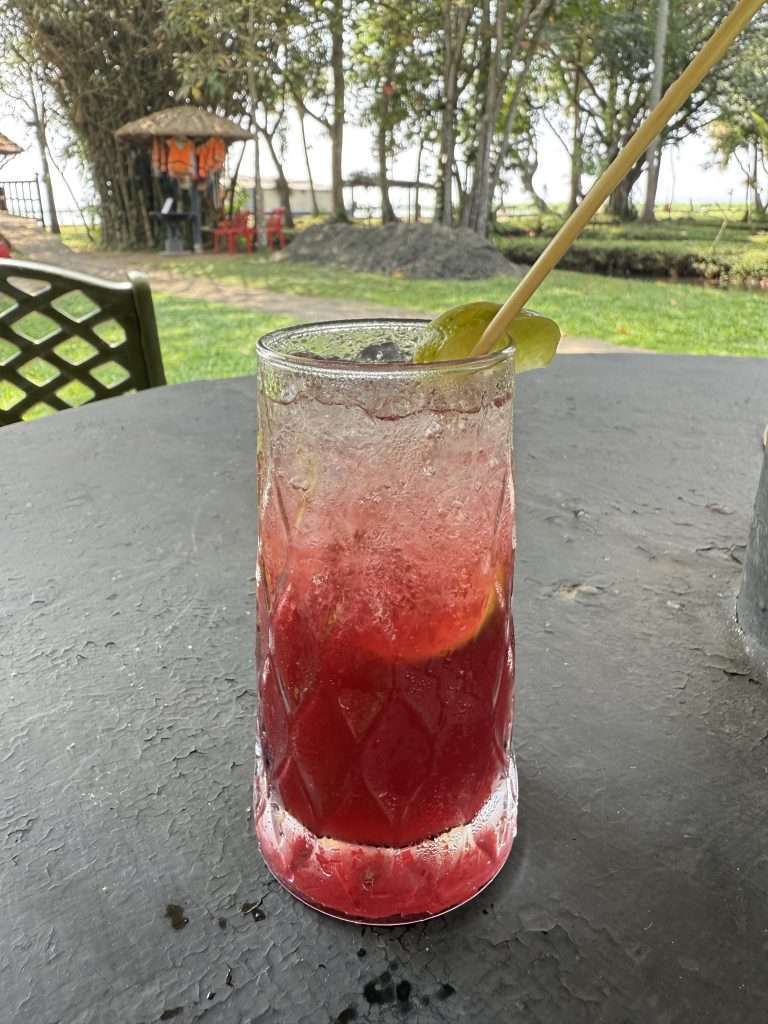 Jamun Kalakhatta Granita - Coconut Lagoon Kumarakom - Kerala