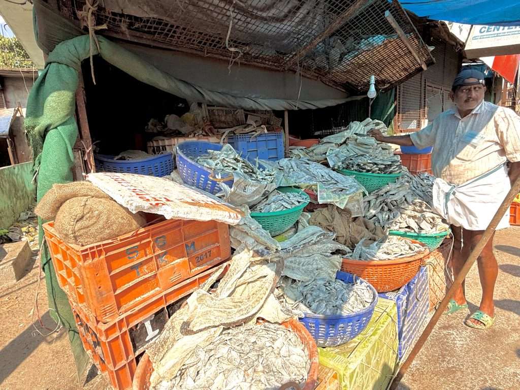 Fish Shop Kerala