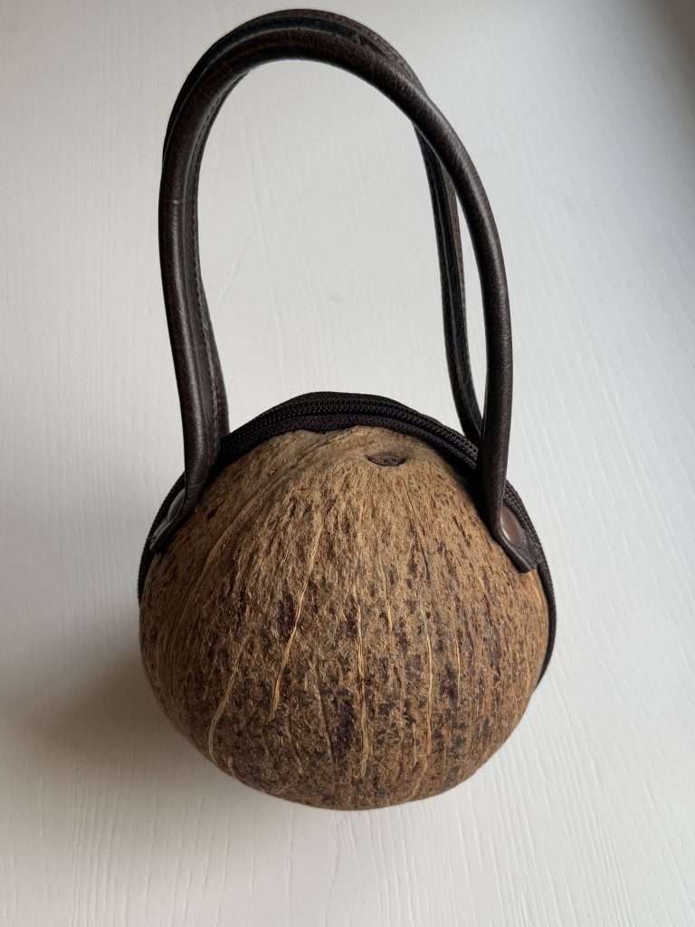 Cute Bag made from a Coconut