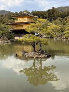 Read more about the article 2  WEEKS IN JAPAN – WHAT THE EAST CAN TEACH THE WEST