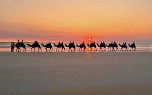 Read more about the article 3 Days in Broome: Where to Dine, Stay, and Play in Style
